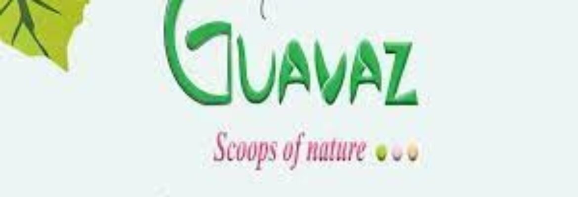 Guavaz – LIVE Natural Icecreams