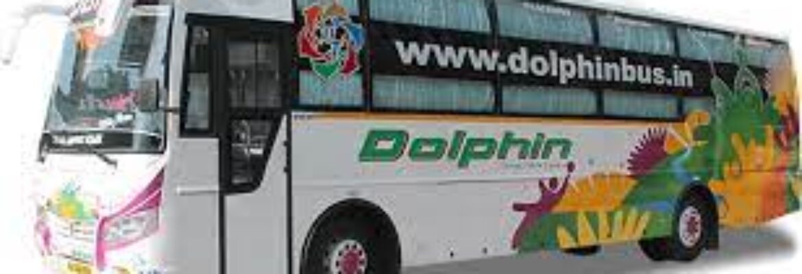 Dolphin Tours & Travels