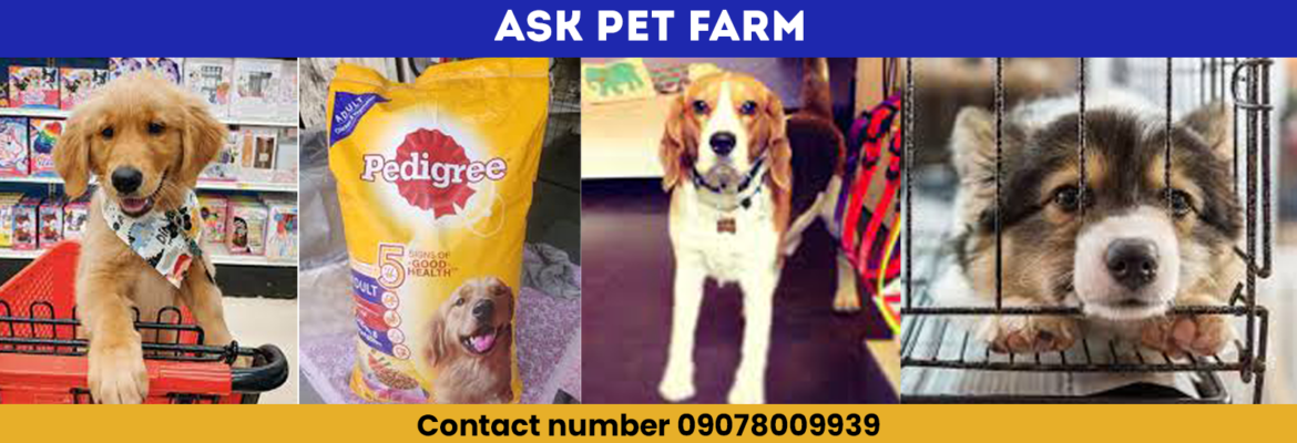 Ask Pet Farm